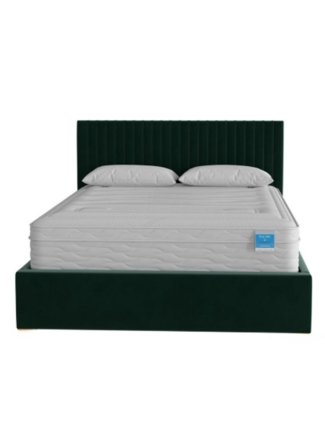 Plush Paradise Upholstered Dark Green Color Bed