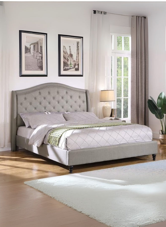 Astralis Tufted Large Twin Size ( Mattress Size 140 X 190 CM ) Brown Color Bed Size 156 W X 205 L CM (Mattress Sold Separately)