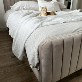 Sleep Haven Upholstered Dark Beige Color Bed